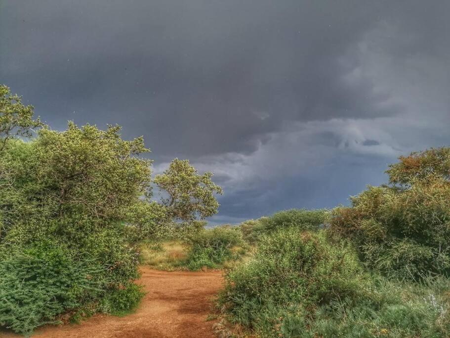 Hackberry House Black Thorn Cottage, Off Grid Khemsbok Экстерьер фото